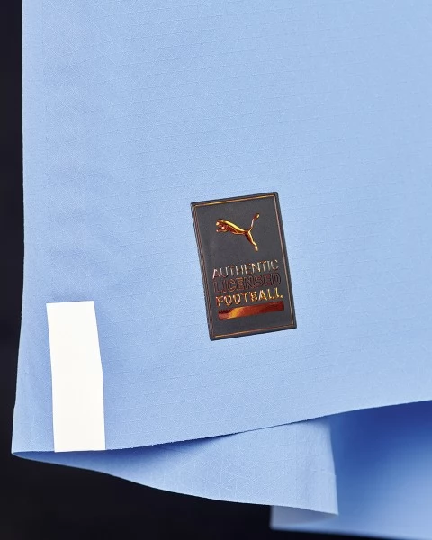 WK 2022 Uruguay Voetbaltenue D.Nunez 11 Thuisshirt